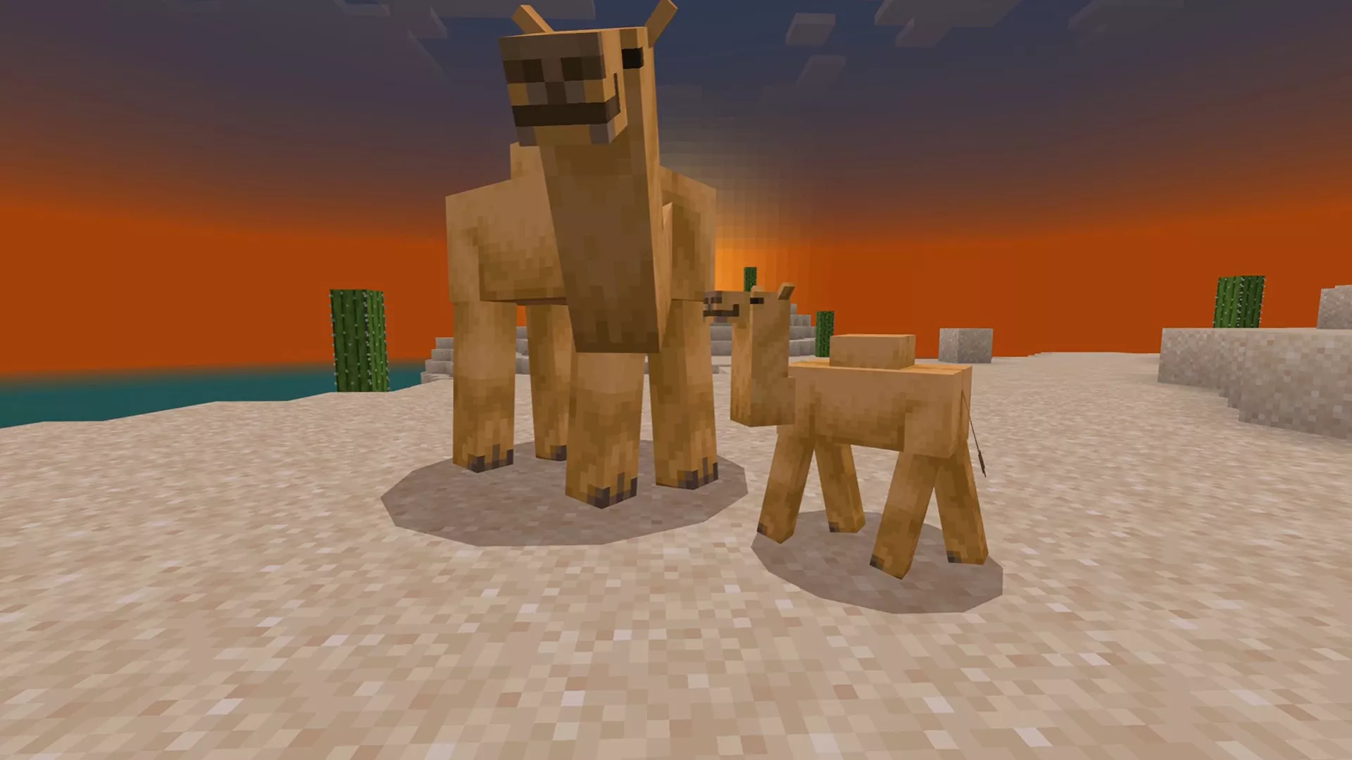Minecraft 1.20 camels.