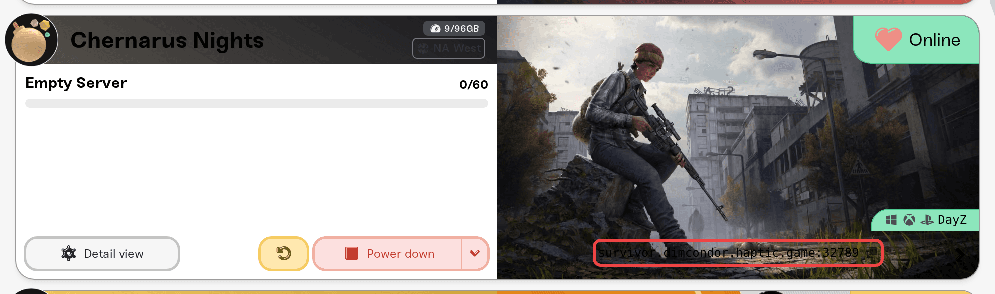The server address on the My Servers card, with the port at the end