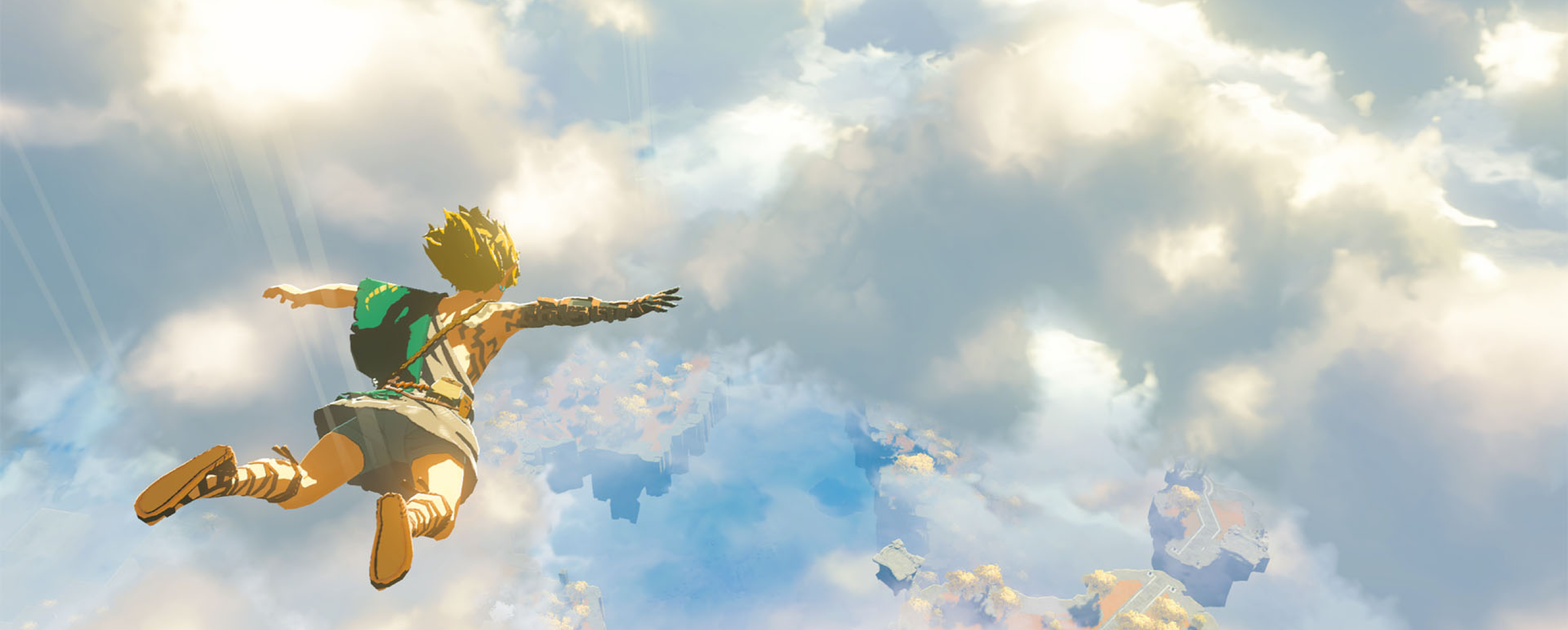 Link free falling in the beginning of Zelda Tears of the Kingdom.