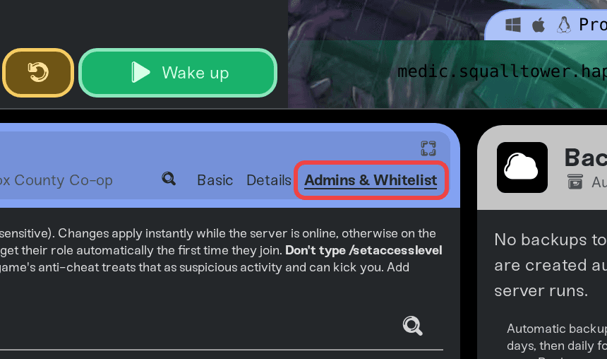 The Admins & Whitelist tab on a Project Zomboid server