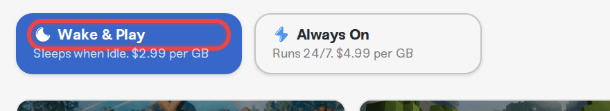 The Wake & Play and Always On plan type toggle on the pricing page