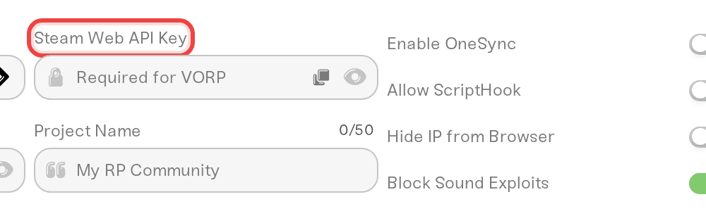 Steam Web API Key field in the Details tab, with the Required for VORP placeholder Steam Web API Key field in the Details tab, with the Required for VORP placeholder