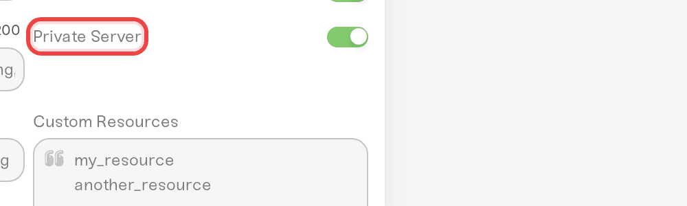 Private Server checkbox in the Details tab