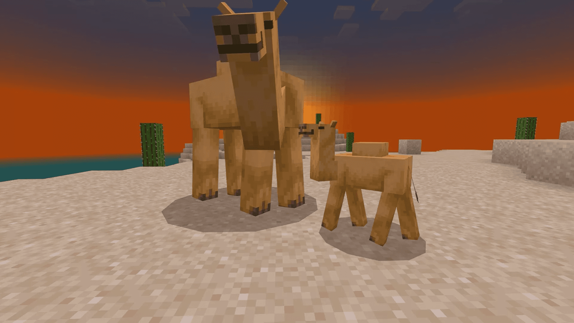 Minecraft 1.20 camels. Minecraft 1.20 camels.