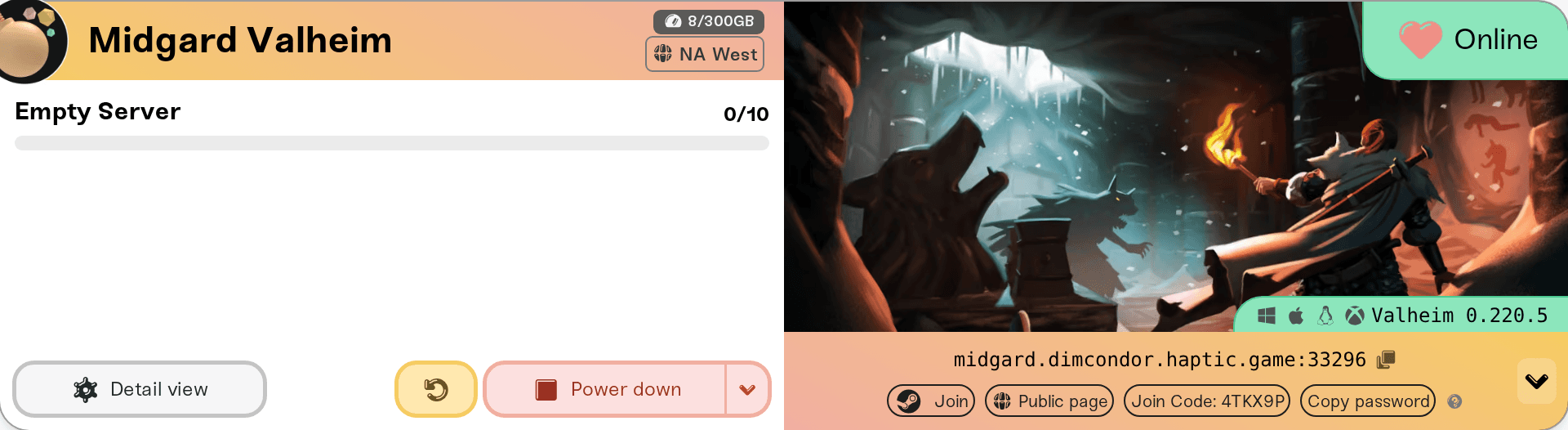 The Join Code pill on the address strip of a crossplay Valheim server The Join Code pill on the address strip of a crossplay Valheim server