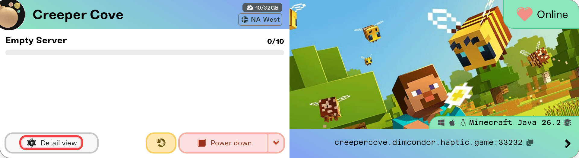 A server card with the Detail view button highlighted A server card with the Detail view button highlighted