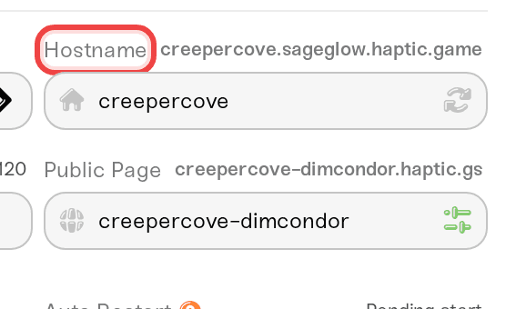 The Hostname field with the Randomize button and full address preview The Hostname field with the Randomize button and full address preview