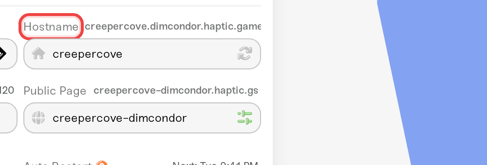 The Hostname field with the Randomize button and full address preview The Hostname field with the Randomize button and full address preview