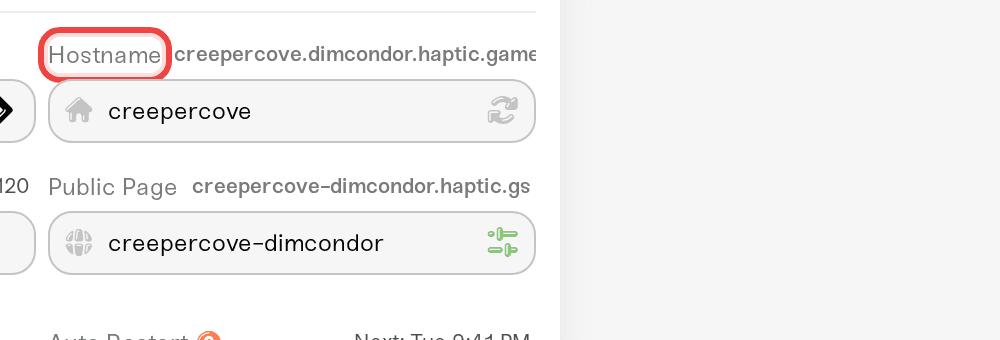 The Hostname field with its Randomize button in server settings The Hostname field with its Randomize button in server settings
