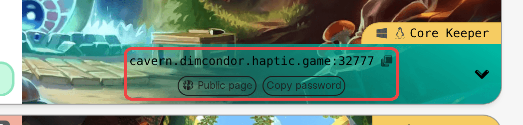 The server address and Copy password pill on the server card The server address and Copy password pill on the server card