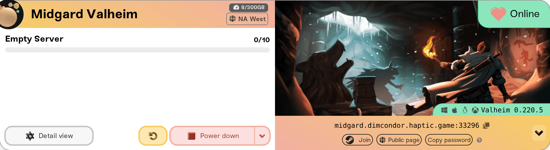 The Copy password pill in the server card's address shortcuts The Copy password pill in the server card's address shortcuts
