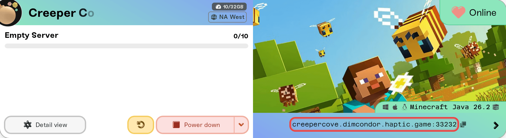 A server card with the copy button next to the server address highlighted