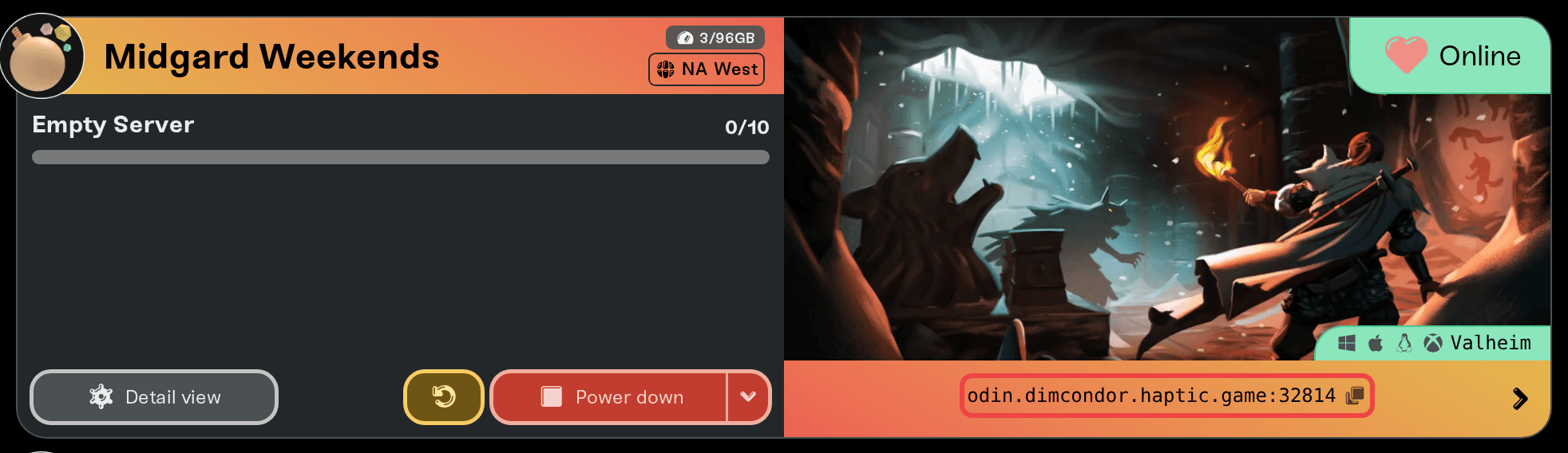 A server card with the copy button next to the server address highlighted