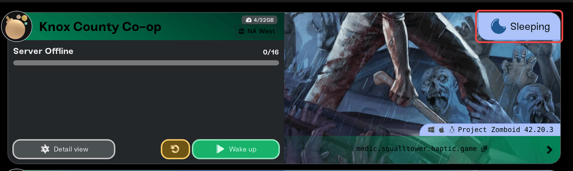 A Wake & Play server card showing the Sleeping status A Wake & Play server card showing the Sleeping status