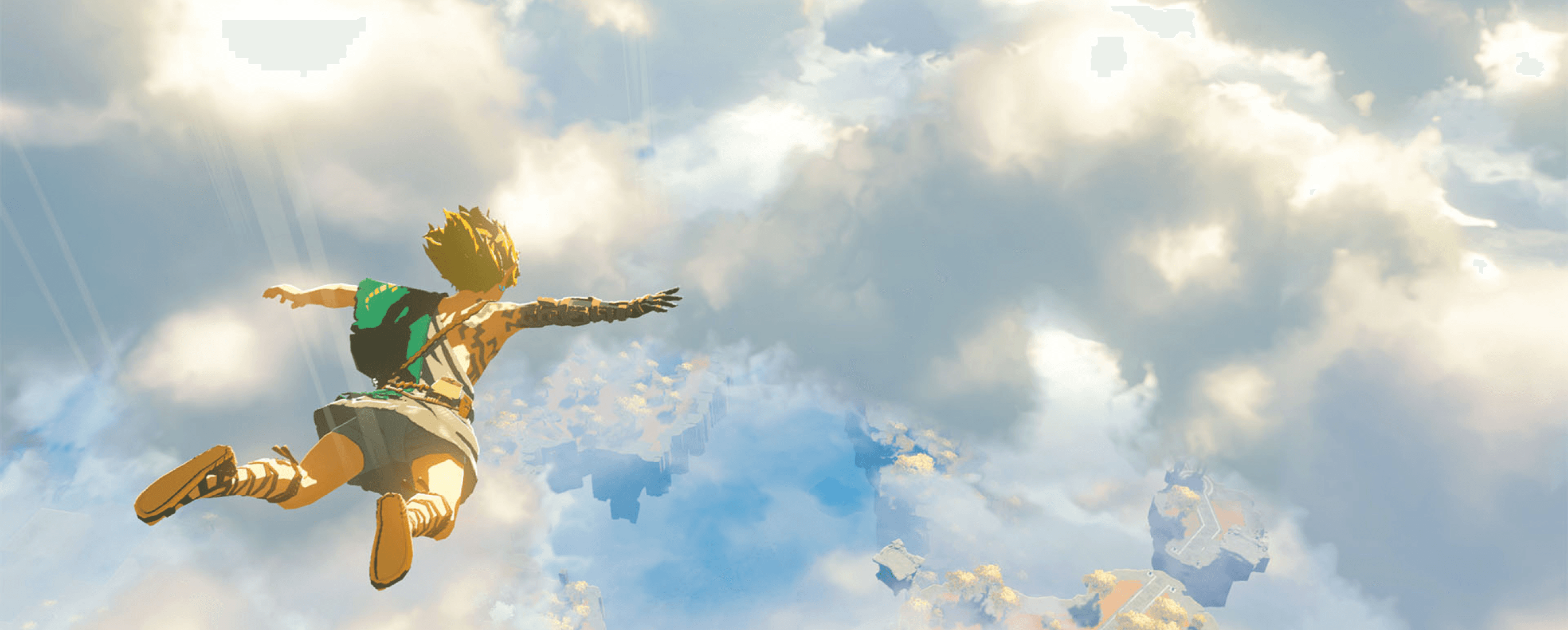 Link free falling in the beginning of Zelda Tears of the Kingdom.