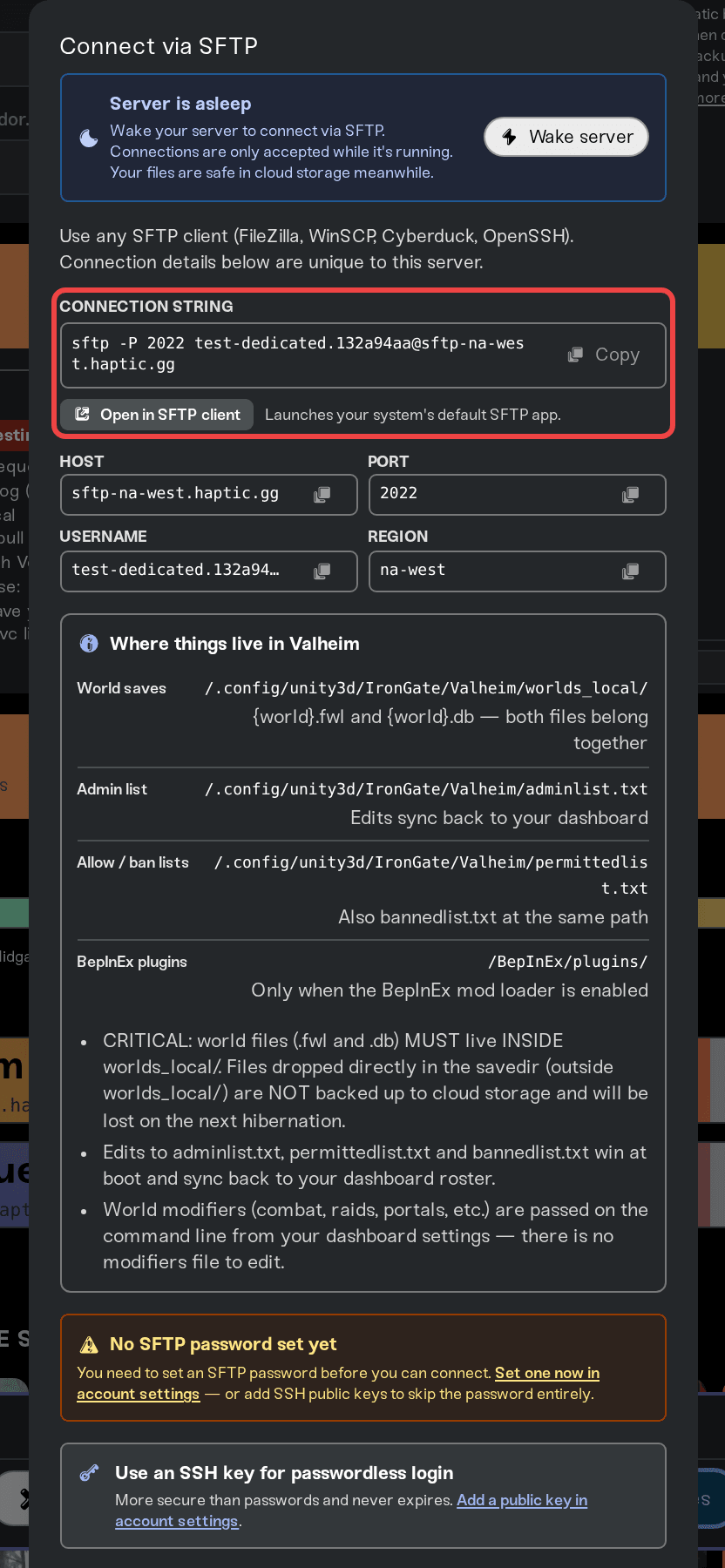 The Connect via SFTP window showing the connection string and the Host, Port, Username, and Region fields