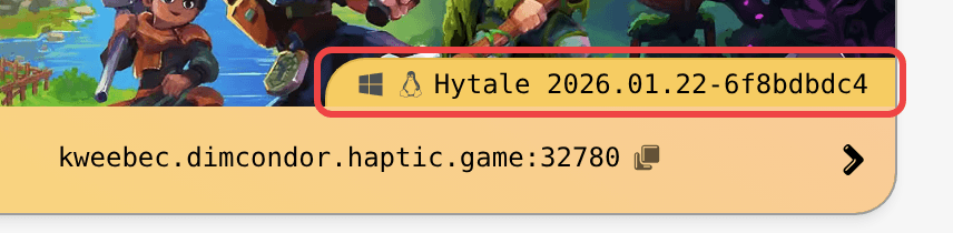 The running Hytale version on the server card The running Hytale version on the server card