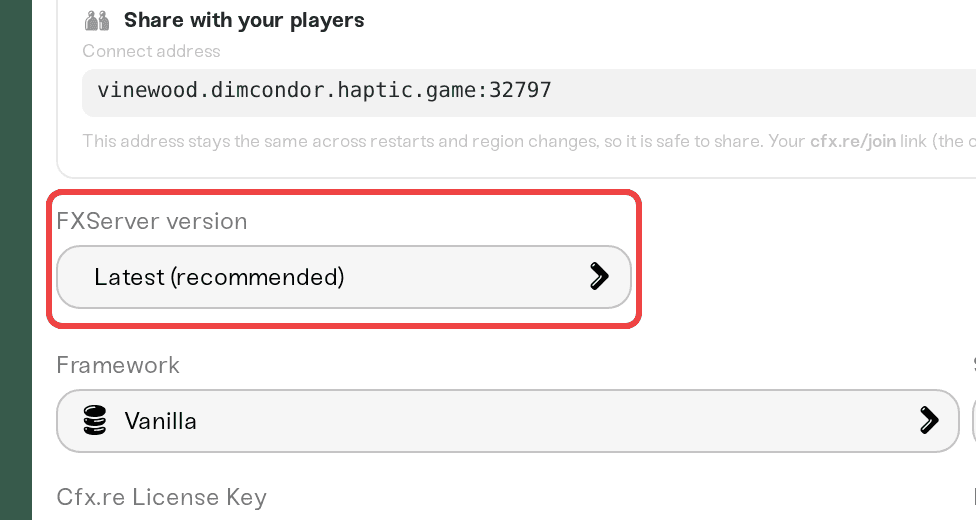 The FXServer version picker above the game settings The FXServer version picker above the game settings